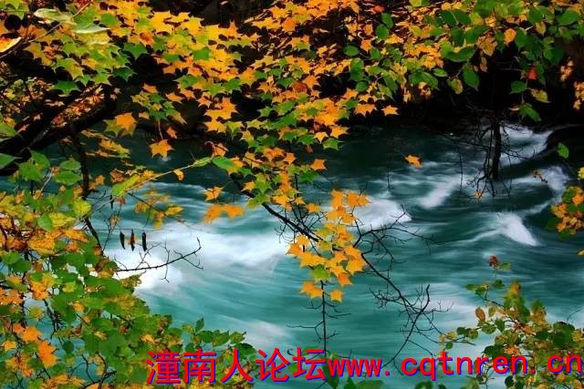 940f233a0029318474072b0dce656174.jpg