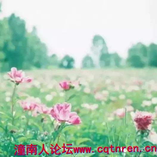 13455ae8e57172cf15bb26b35507f59a.jpg