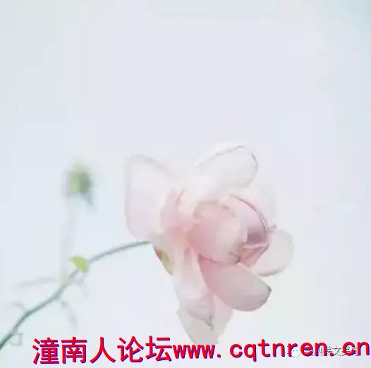 f99d3fec443aa8ad5a1f997b0fe64cb6.jpg