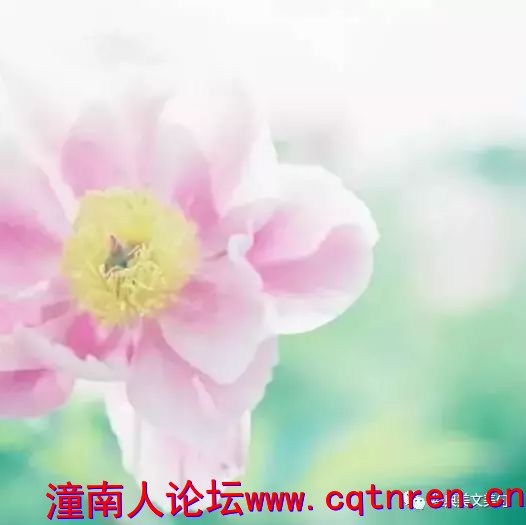 1c7a7745a059f1bd6640f0dc324ed1c3.jpg