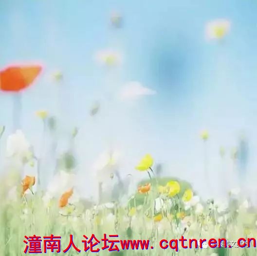 1f148159855247479b24c39120d33135.jpg