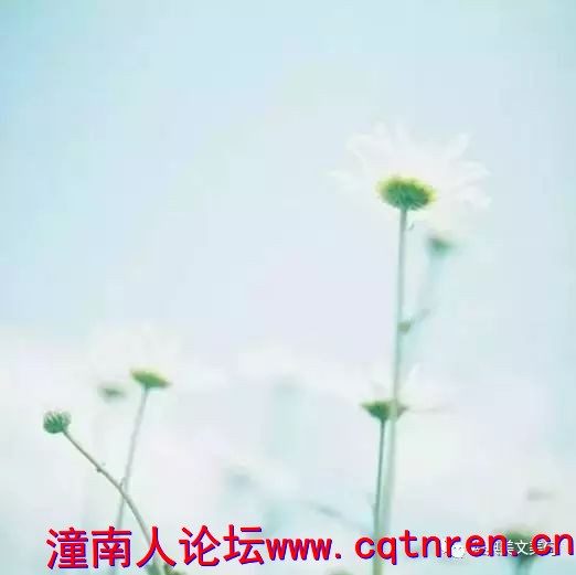 c8ecae1cb4de2717ab8450bf301e71e8.jpg