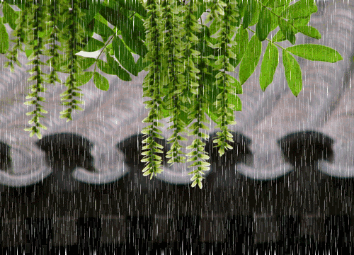 21495444a5f3388bebbd70c057818d90.gif