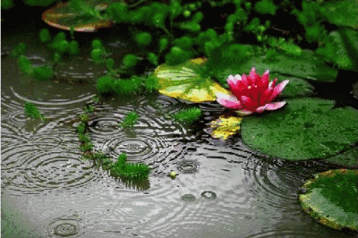 36f8bca841d20757c9f2fc7f1707c8da.gif