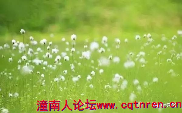 67dfaa3c00cef18e781aa1999cf2bf14.jpg