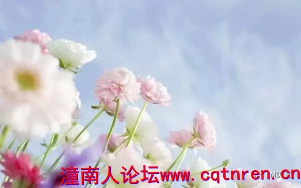 2c986970d51ed02ac07f5b6bbf38bae2.jpg