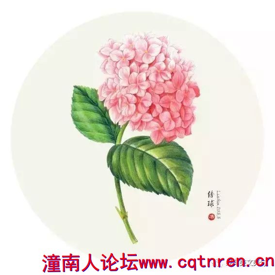 773a513bcca42cb6bf90e8c124ec9b16.jpg
