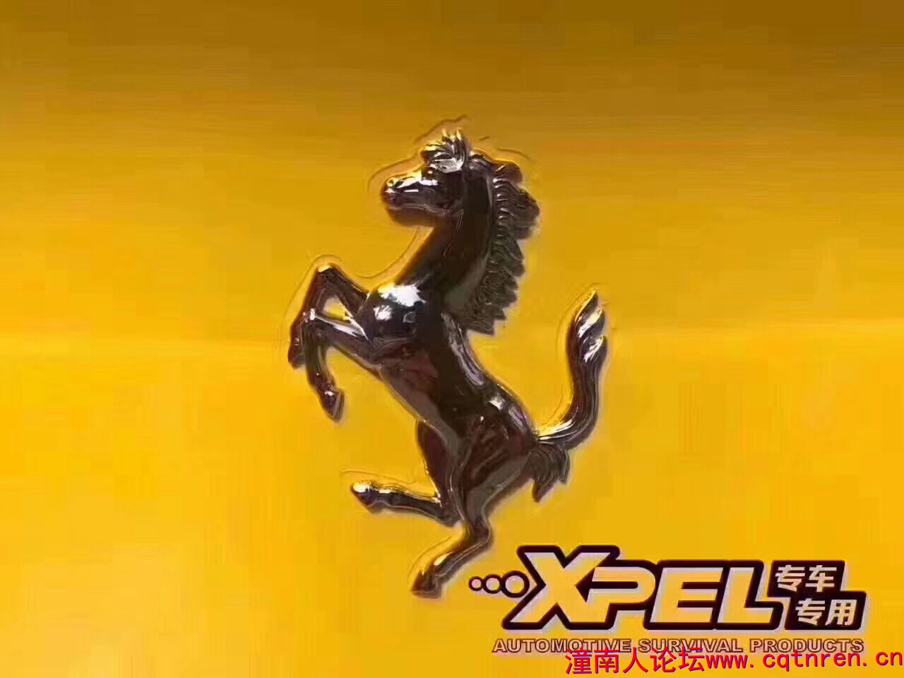 2xpel.jpg