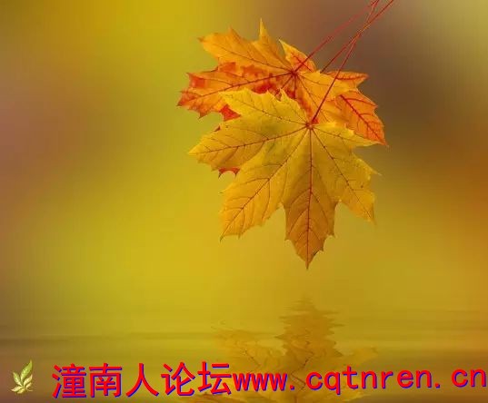e5af9c3789e6f366f71ca9a23fdfa764.jpg