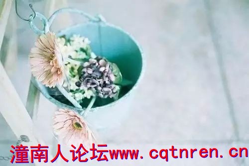 1e53d0643d60ee72732eb07a959f831a.jpg