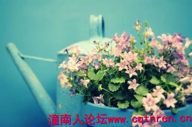 a59d2c10d1a34289aeb492c0ea70816b.jpg