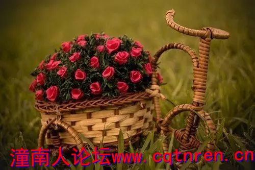 796c7c3fae55a24a047412d8bddbe7cc.jpg