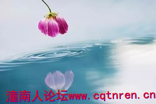 088223edc9315377779125c774336a8d.jpg