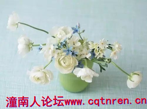 7c557176575301b5779d21ef340777fb.jpg