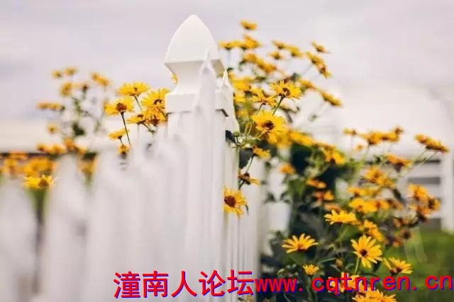 0dde376b7861d6556820a926aafa7314.jpg