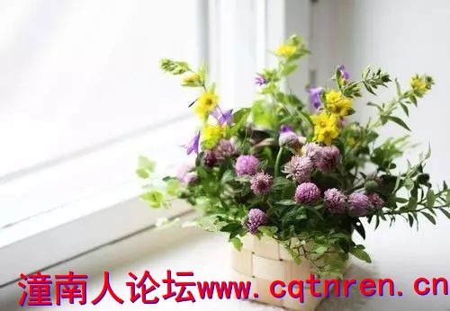 ab10c33b650b076b6fce135467b4a2cb.jpg