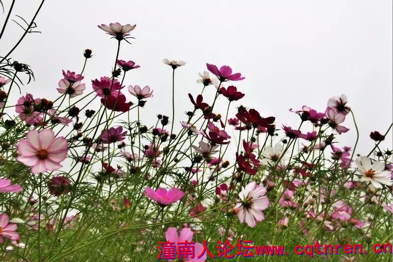 b95d68f76358c79b02b14a5974562dbb.jpg