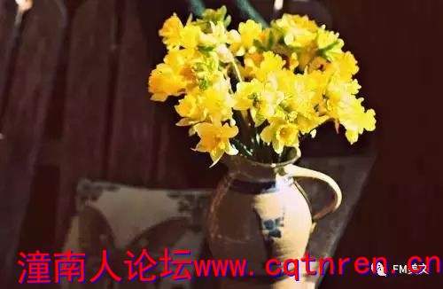 d2570b000a1ea2b38483faf9049f69fa.jpg