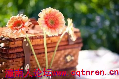 e152702d7411952ae1ed37a8769bb69b.jpg