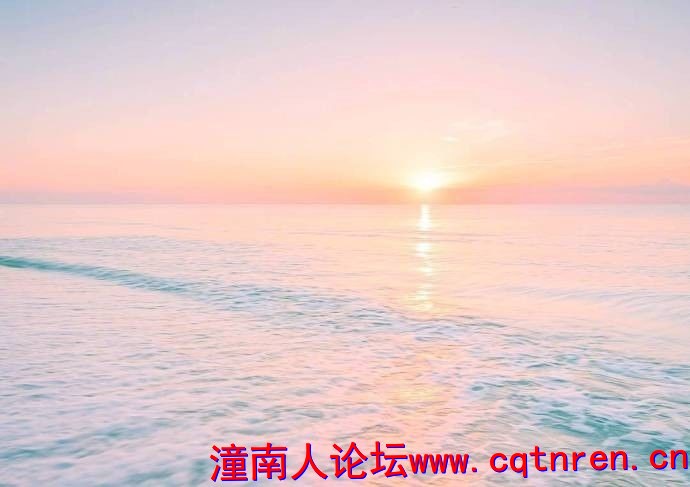 ee8e3029a59df13692d2c2295f2fc534.jpg