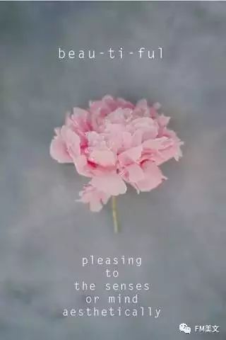 2c51597c8e43cc5ab3e0c2fd0b7ad264.jpg