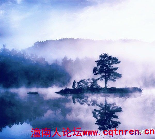 e79df7b47f79e4ea865ebc4192a69cfc.jpg