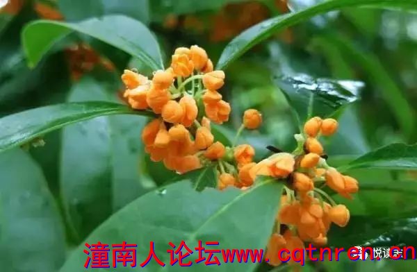c3b0874e5bdcf6b630da47b4ac8f25be.jpg