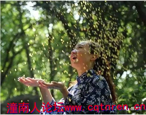 4a523851b4ca1975d155fe9280f725db.jpg