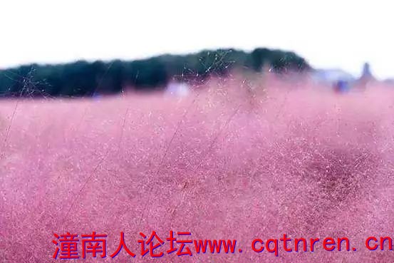 ab9671925e23da077bef7db67263bd19.jpg