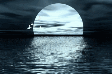d4810f360198ac9ab0a349e507fb9fb8.gif