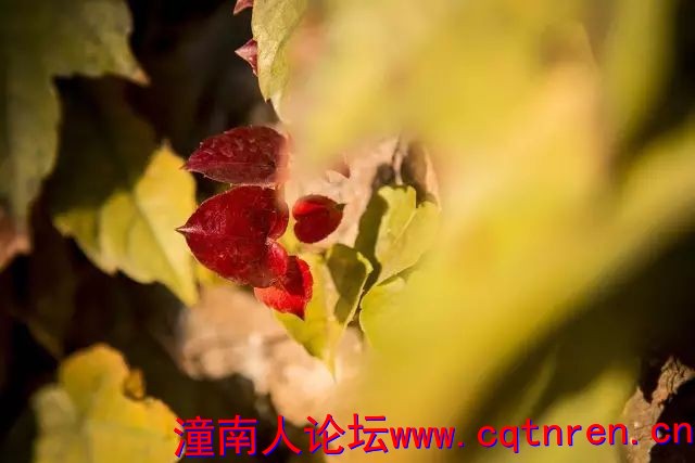 bddf1d17e9d3524284b517bbdce9b2dc.jpg