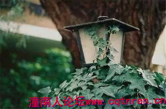 af243f9b72e346aed41b52be246d00d3.jpg