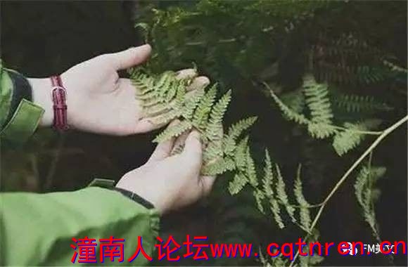 1c9f3e2e99e5c8184aa3429a4d732d56.jpg