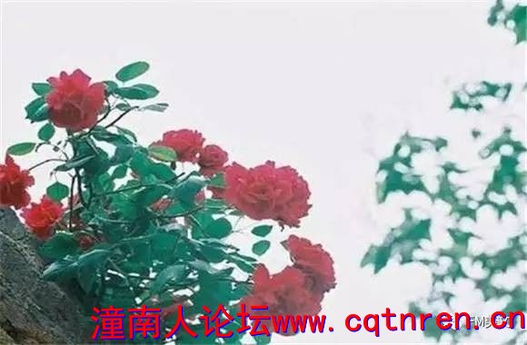 674d7447ed9e108dc383d3119437e07e.jpg