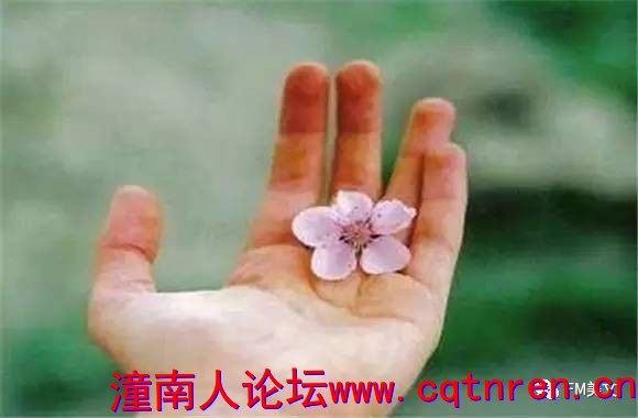 723e32d8922bebdc07bc1721902a10ad.jpg