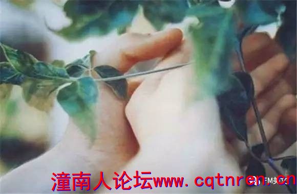 5008d0d65b13616a1fc7a2b36ebc4543.jpg