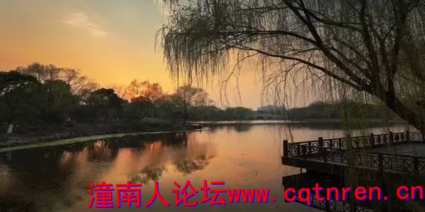 ee640d9d9da677ea551983c36643221a.jpg