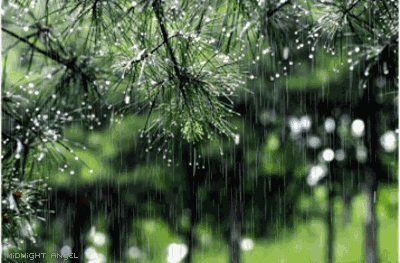 5c948425ae666ec008f25b347c20f869.gif