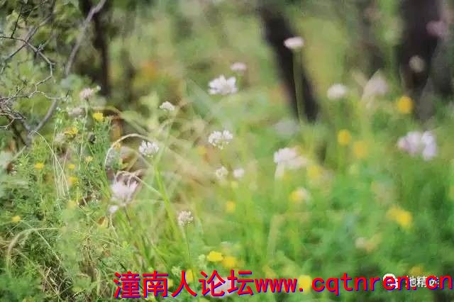 17b1b0a918d18409a61de8a33822dfa2.jpg