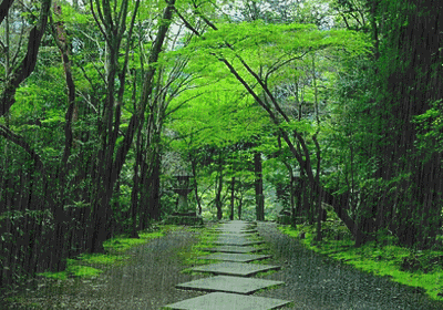 ab49a771c7f7ddb6654cf4b7215bf2aa.gif