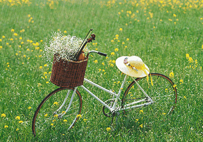 8032d54607ac212c49c82ed6f0a15028.gif