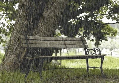 90e67db41999e1acb5689b441f2b3f82.gif