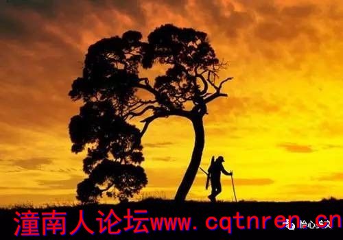 30e52855de1efe12b07ffbda561e4f3d.jpg
