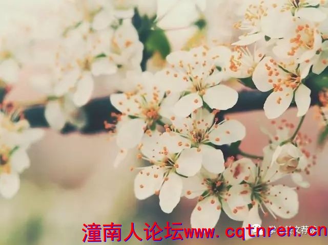 72dbcb5a66095dcf59578cd66ccbd0bd.jpg