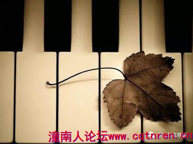 7bb1921fc52af3f364b72c155de58e7d.jpg