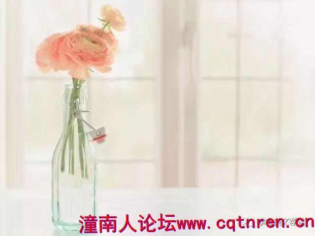 ec00ea85f303d58efafe49ea4b82c700.jpg