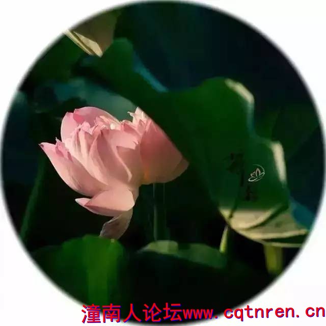 32a1814bfdcee8b2d2e29d60a3cba667.jpg