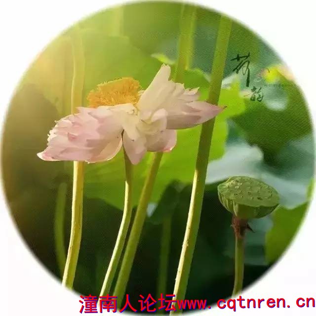 7a3306c1980f60eb8dbb3fe264cc3af6.jpg