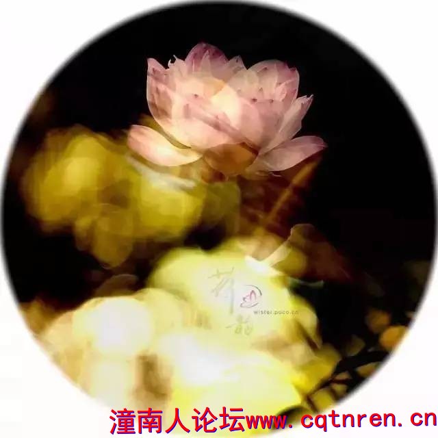 1f8d5feb74f55904eefad94b701accf1.jpg