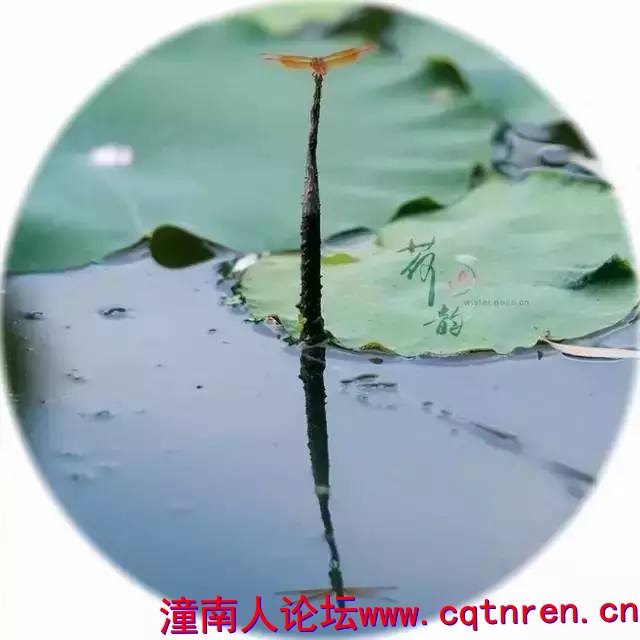 1af1f7425d92f0c477f8af9bffe1ab7c.jpg